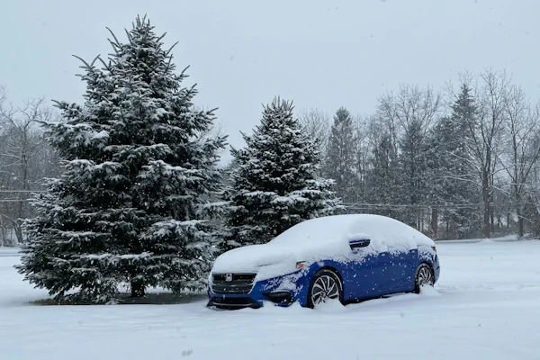 mikor váltsunk téligumira - hóban honda, fenyők mellett